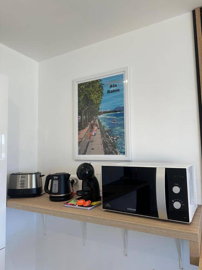 Gîte pour 4 personnes, avec vue ainsi que terrasse et vue sur le lac, animaux acceptés à Tresserve - 4