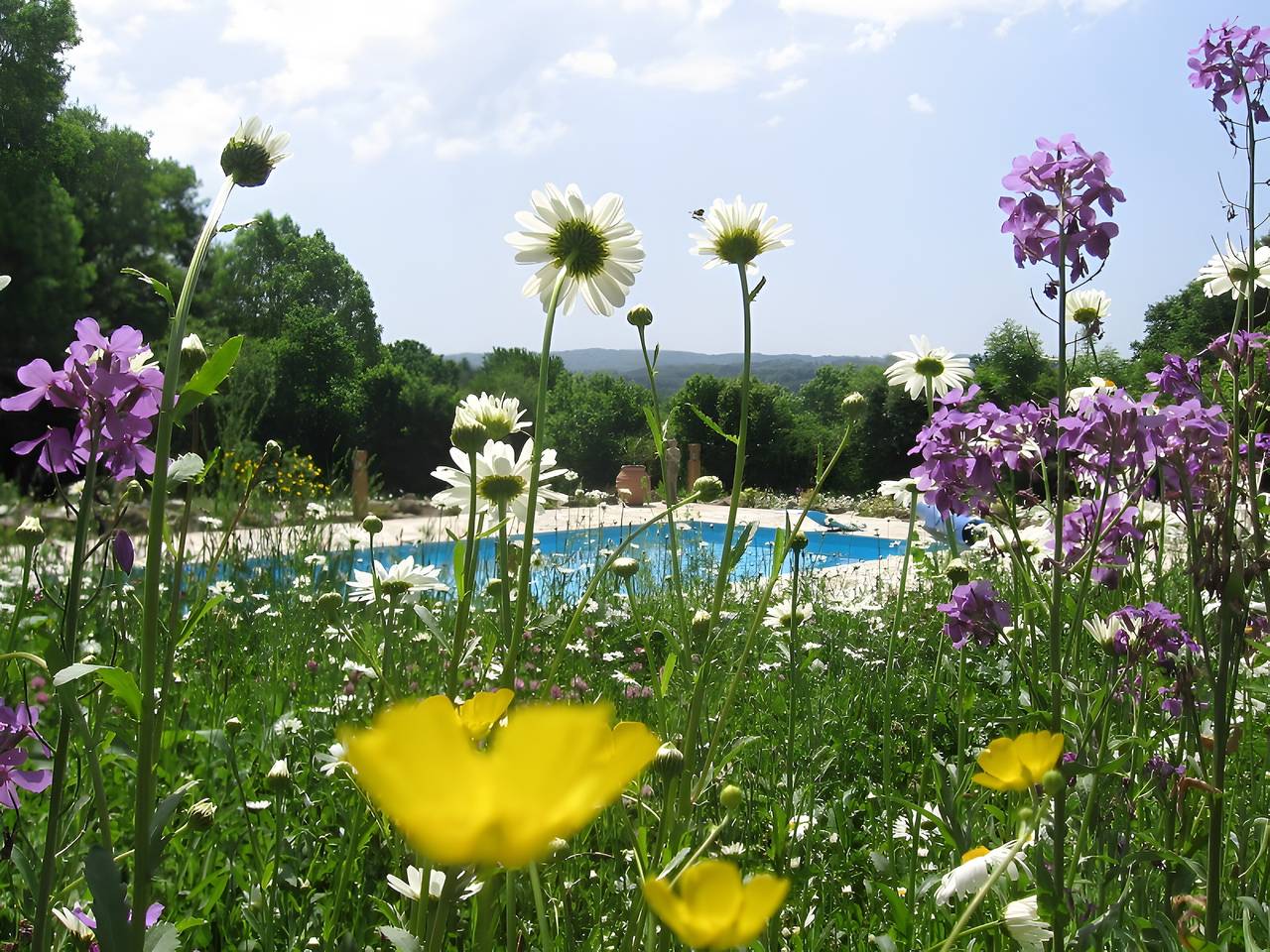 Villa Felinas : havre paisible avec grand jardin, piscine chauffée et équipements familiaux in Ahun, Région de Guéret