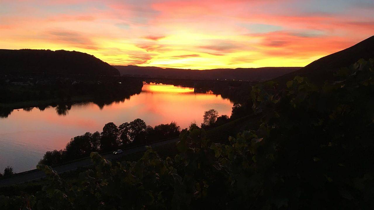 Ganze Ferienwohnung, Ferienwohnung für 3 Personen (42 m²) in Schweich in Schweich, Moseleifel