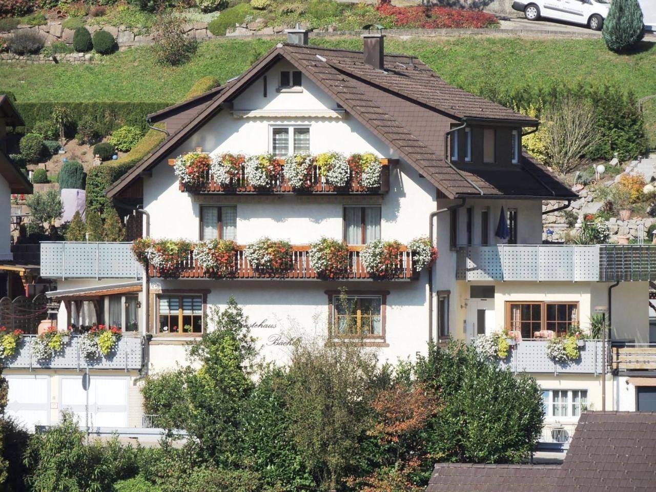Two-Bedroom Apartment with View in Bad Peterstal-Griesbach, Forêt-Noire centrale