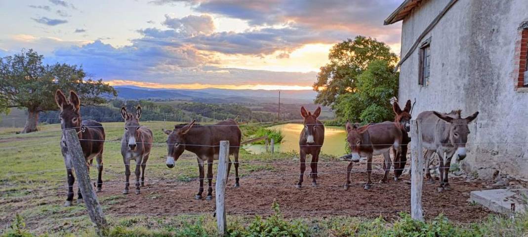 Location de vacances pour 6 personnes, avec jacuzzi ainsi que jardin et sauna dans Lay - 3