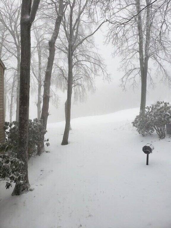 Ganze Wohnung, Eagles Court Ski In/Ski Out Condo with Walkable Location & Mountain Views! in Wintergreen, Nelson County