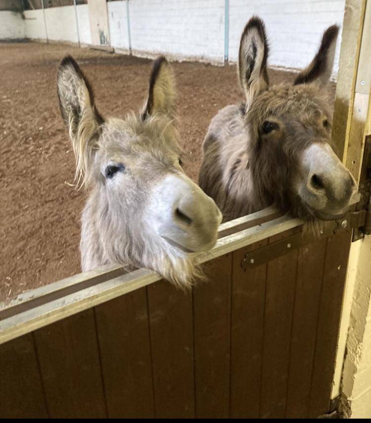Southfields Farm in Sherwood Forest, Nottinghamshire