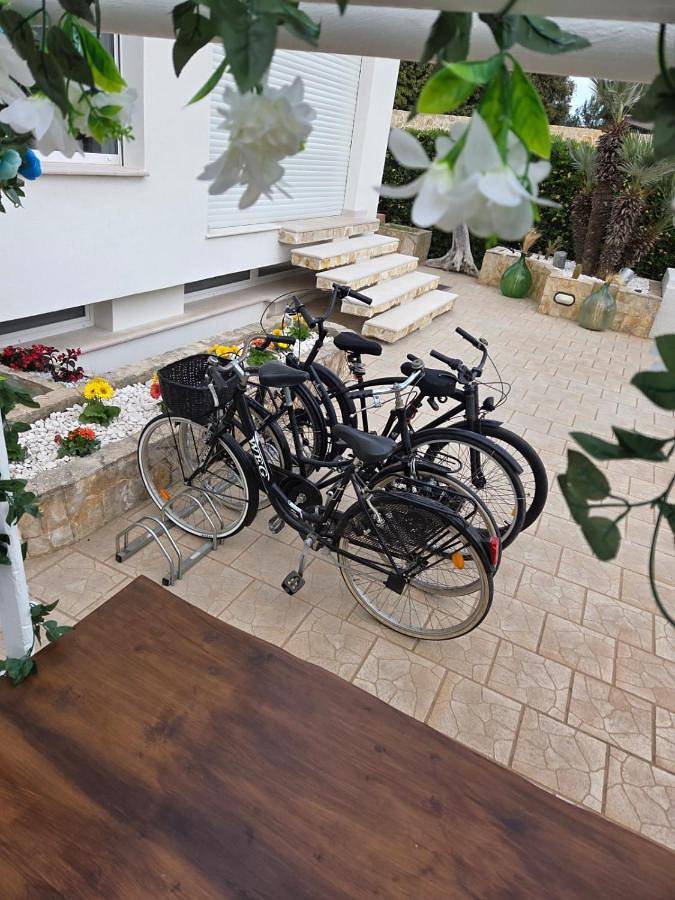 Chambre d’hôte pour 4 personnes, avec jardin à Brindisi - 4