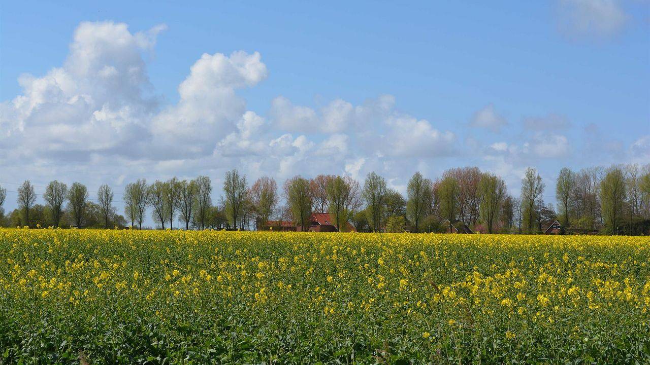 Ferienwohnung für 5 Personen in Krummhörn, Landkreis Aurich