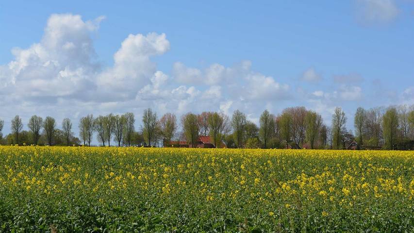 Ferienwohnung für 4 Personen, mit Garten und Terrasse in Hinte