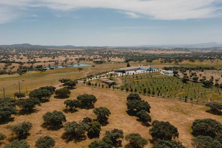 Lodge für 3 Personen, mit Balkon und Terrasse sowie Garten und Pool in Alentejo - 3