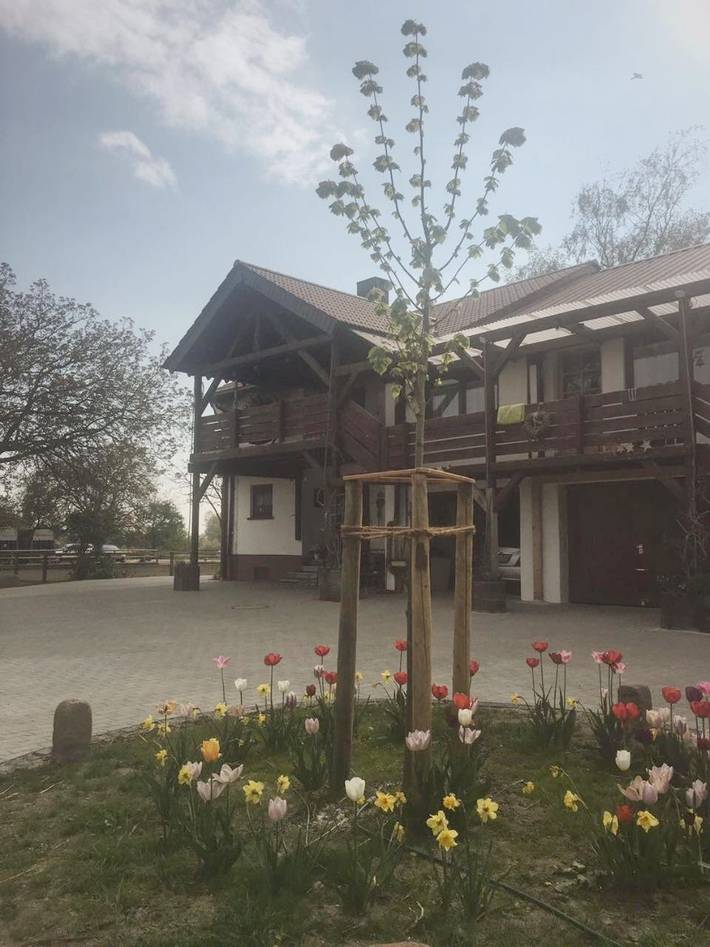 Gîte pour 3 personnes, avec Balcon et Terrasse ainsi que Jardin et Vue à Hockenheim