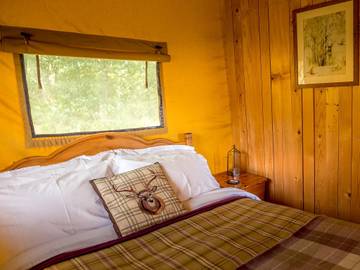 Glamping for 4 People in Dorset, South West England, Photo 3