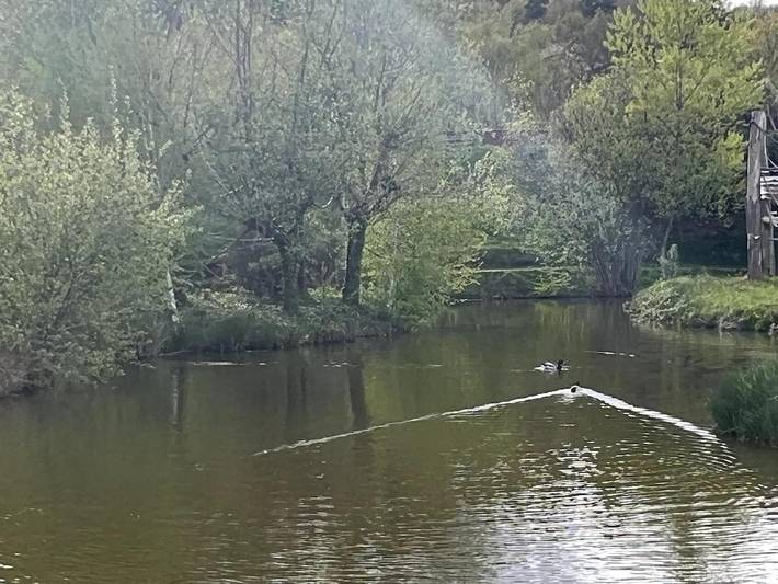 Location de vacances pour 5 personnes, avec vue, animaux acceptés à Ardes - 2