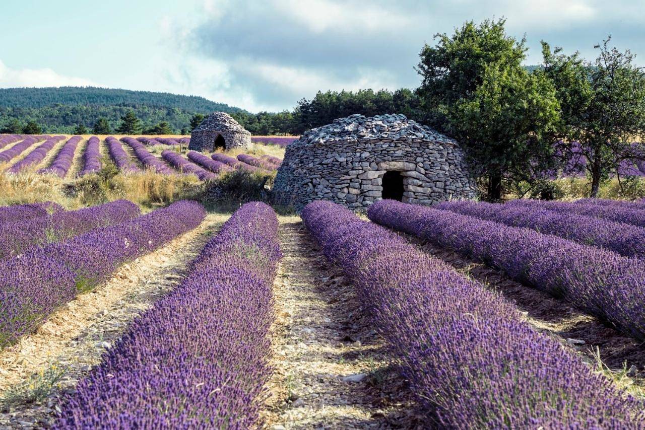 Gîte La Bastide de La Loge au pied du Mont Ventoux in Sault, Parc naturel régional du Mont-Ventoux