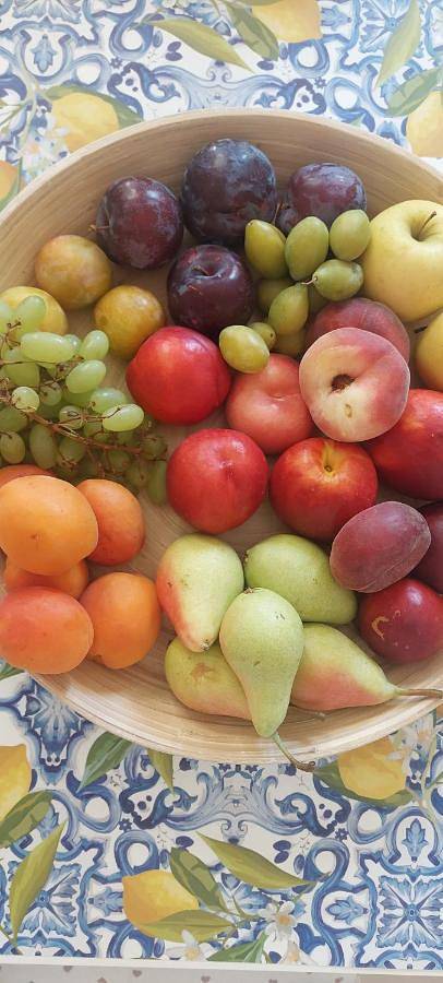 B&B La Perla Bianca in Li Punti, Sassari
