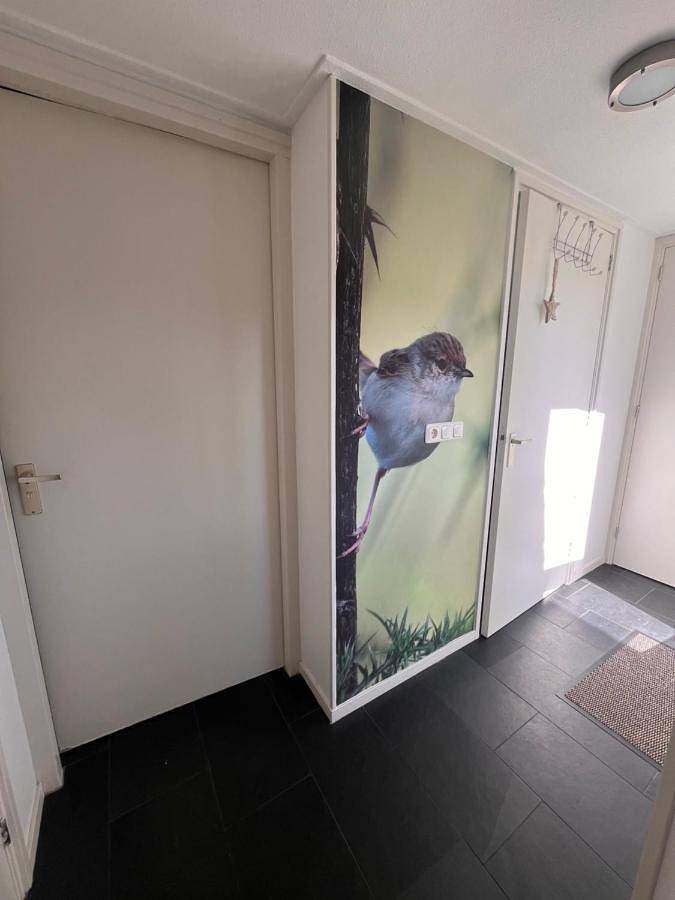 Huis Mosk heeft grote tuin op het zuiden en nabij meer in Nationalpark De Alde Feanen