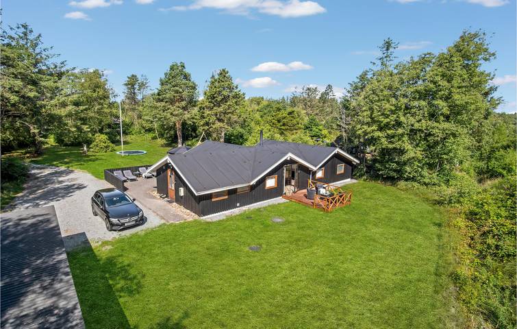 Ferienhaus mit Meerblick für 8 Personen, mit Sauna und Terrasse in Blavand - 2