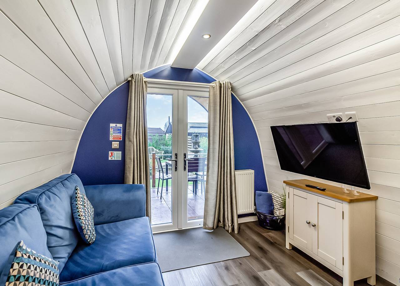 Kingfisher in Gunthorpe (Nottinghamshire), Nottinghamshire