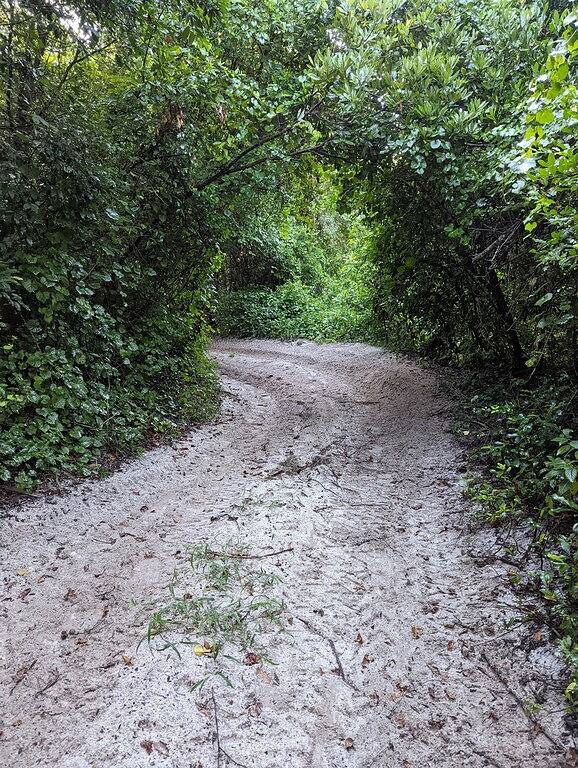 Camp My Way Ocala National Forest Rodman Reservoir Fish/Hunt/Ride/Hike Private in Marion County (FL)