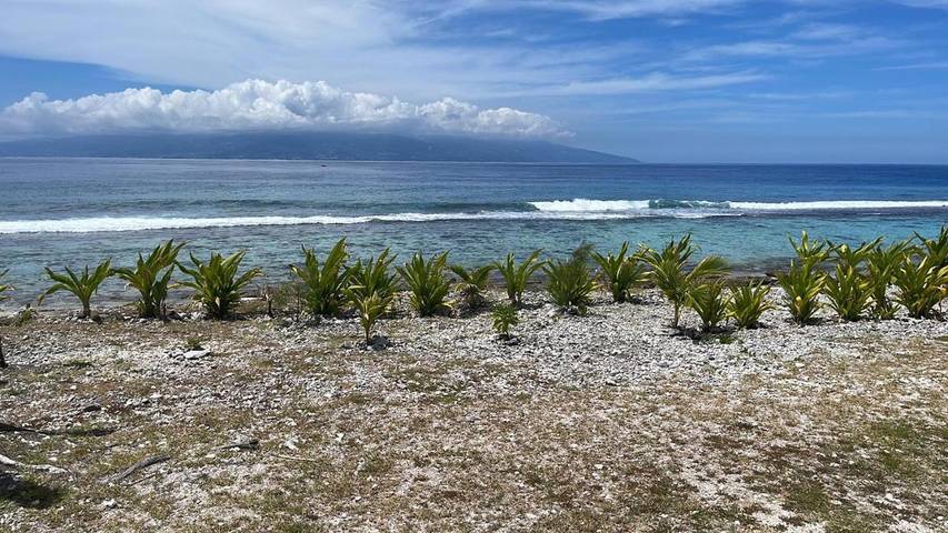 Lodge pour 8 personnes, avec jardin et vue dans Polynésie française - 4