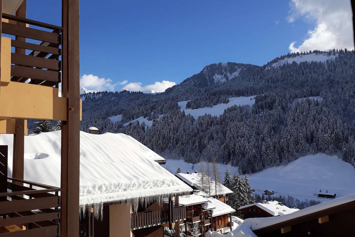 Hel ferieleilighet, Le Millepertuis family stay in the mountains in Le Grand-Bornand, Annecyregionen