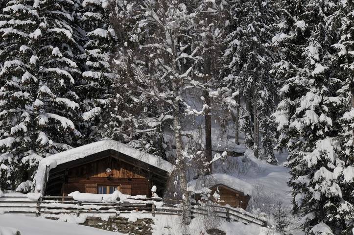Chalet für 4 Personen, mit Whirlpool und Terrasse sowie Garten und Sauna in Ahrntal