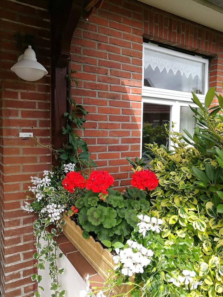 Ferienwohnung für 4 Personen, mit Terrasse und Garten in Krummhörn - 2