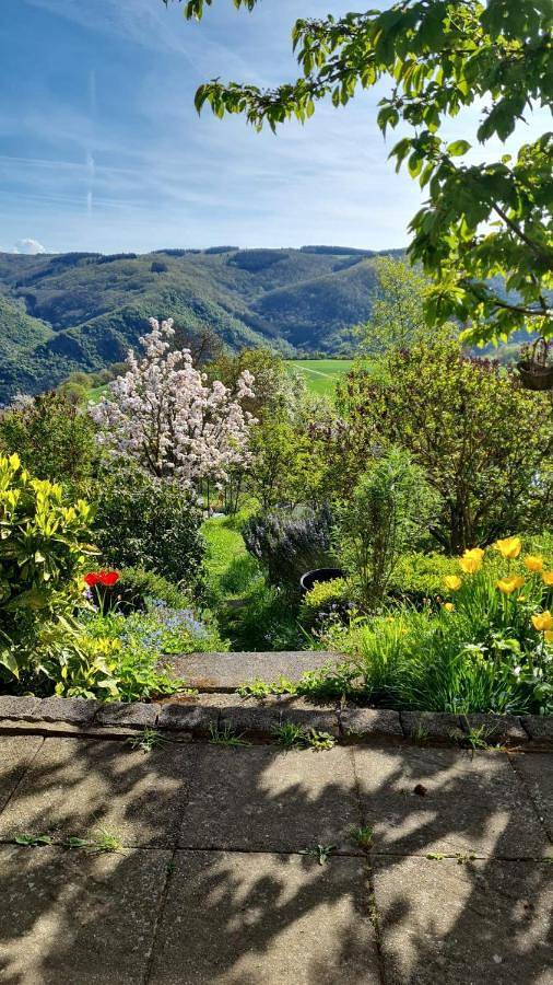 Ferienwohnung für 4 Personen, mit Ausblick und Terrasse, mit Haustier in Bacharach - 2