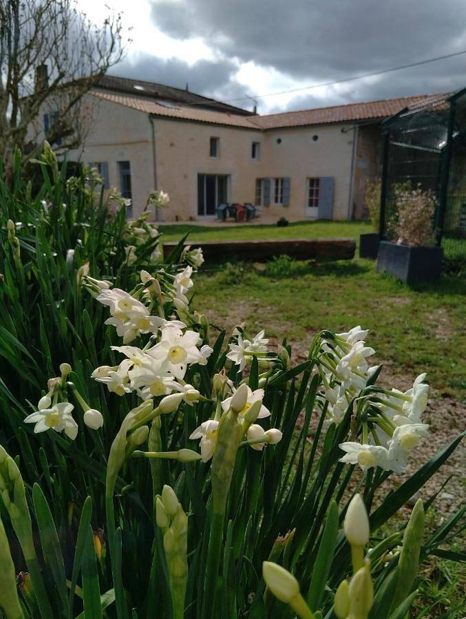 Location de vacances pour 6 personnes, avec Terrasse et Jardin à Asnières-la-Giraud