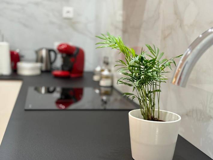 Casa de huéspuedes para 4 personas, con terraza y vistas - 1