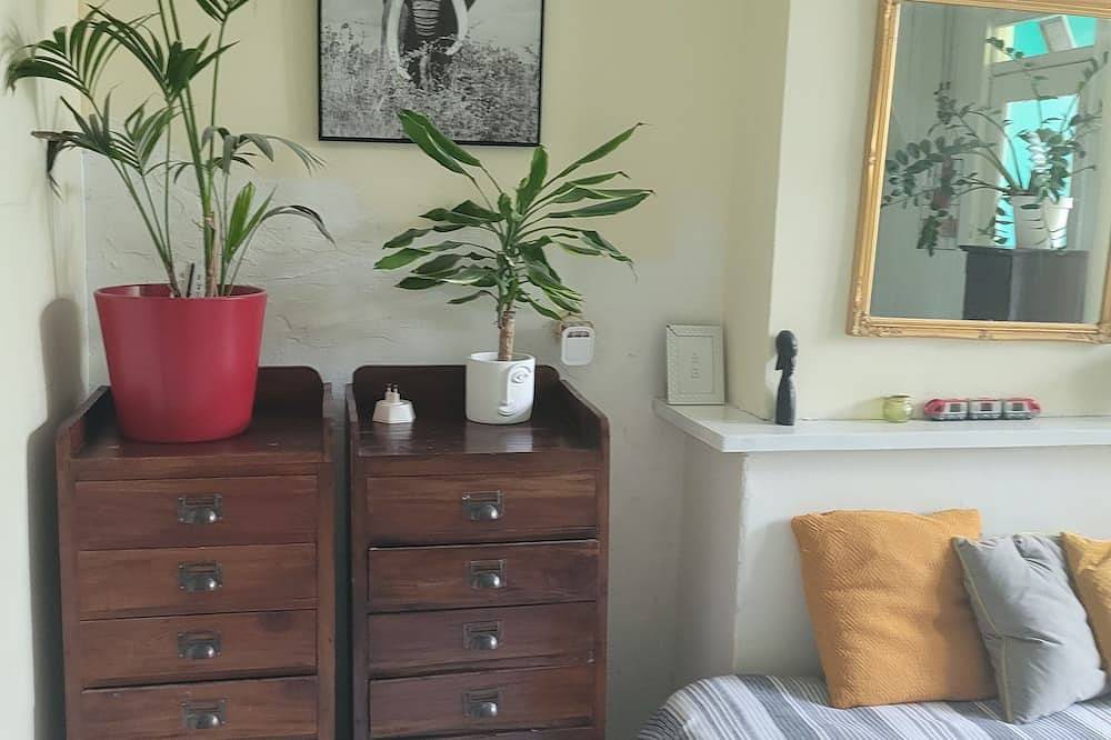 Geheel appartement, Knus schrijvershuisje vlakbij Ahoy in Rotterdam, Zuid-Holland