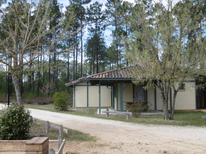 Chalet pour 4 personnes, avec terrasse, animaux acceptés dans les Landes - 2