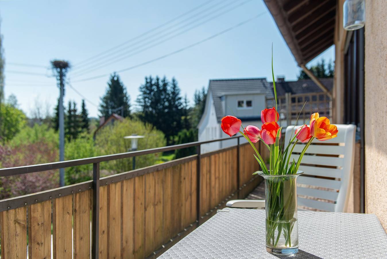 Ganze Wohnung, Ferienwohnung 'Säntis, 50qm' mit Balkon und Wi-Fi in Mühlingen, Landkreis Konstanz