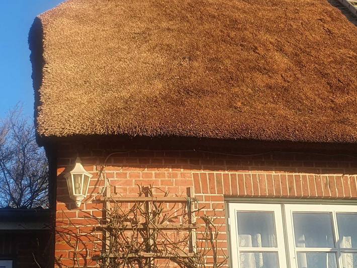 Ferienhaus mit Meerblick für 5 Personen, mit Ausblick und Garten, kinderfreundlich in Nordstrand - 2