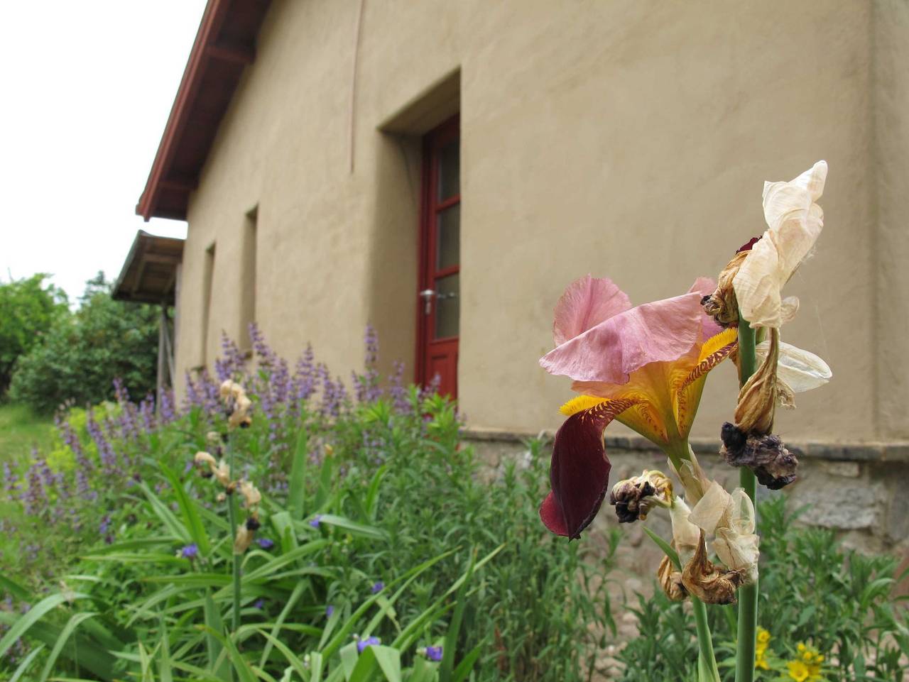 Lehmkloster - Einzelzimmer Augustina in Ganzlin, Ludwigslust-Parchim