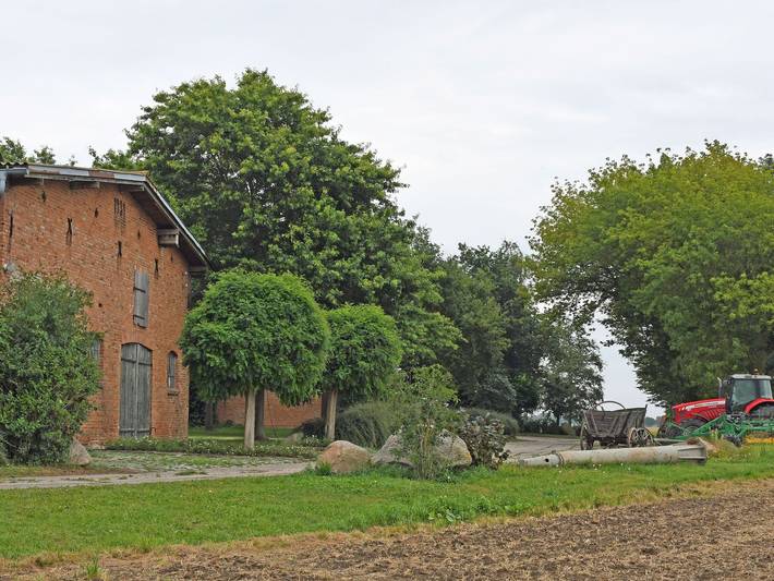 Ferienwohnung für 8 Personen, mit Terrasse und Garten in Sundhagen - 4