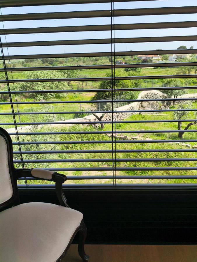 Maison de campagne pour 2 personnes, avec jardin ainsi que vue et piscine, animaux acceptés à Castelo Branco - 3