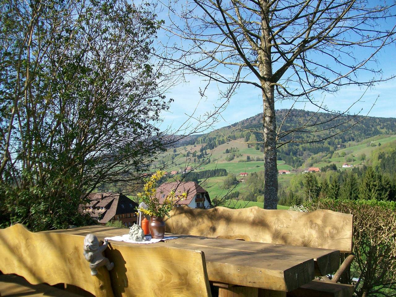 Ganze Ferienwohnung, Haus Rümmele - Ferienwohnung 1 in Suedlicher Schwarzwald, Fröhnd