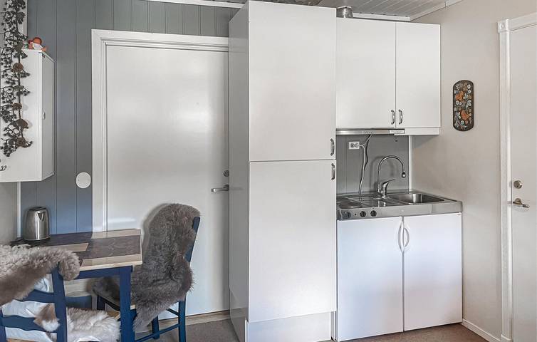 Ganze Ferienwohnung, Ferienwohnung für 4 Personen mit Sauna in Bjorli, Lesja