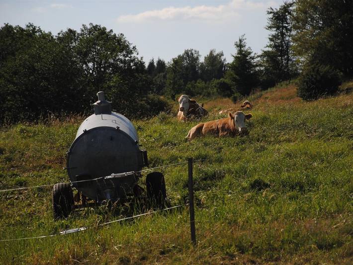 Ferienwohnung für 2 Personen, mit Balkon, kinderfreundlich in Gersfeld - 2