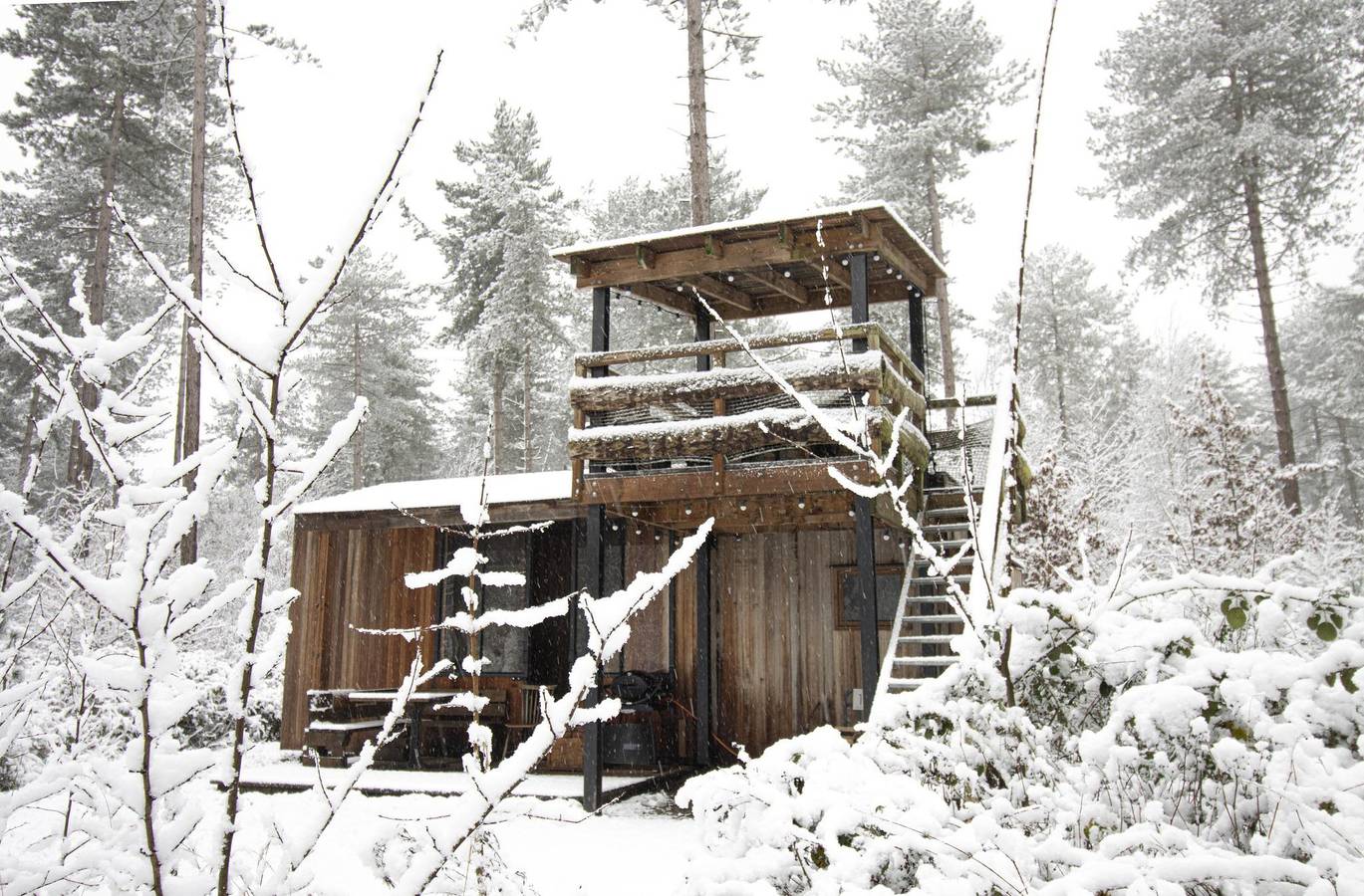 Recreatiedomein Warredal — Treetrunk in Maaseik, Hoge Kempen