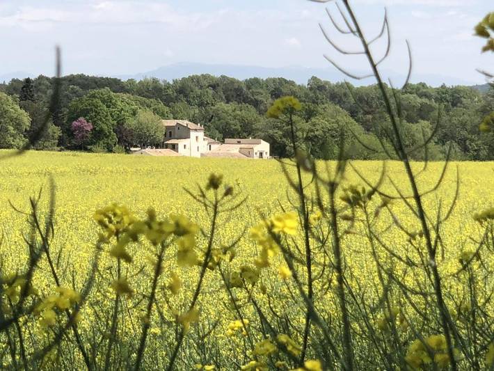 Maison d’hôte pour 4 personnes, avec terrasse ainsi que jardin et piscine dans les Alpes-de-Haute-Provence - 2