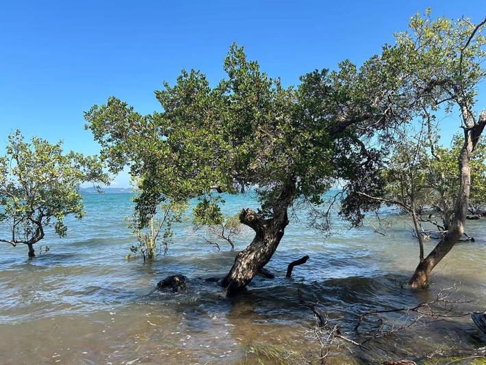 Maison d’hôte pour 2 personnes, avec jardin et vue dans Koh Chang - 3