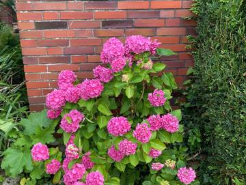 Ferienwohnung für 4 Personen in Nesse, Dornum, Bild 3