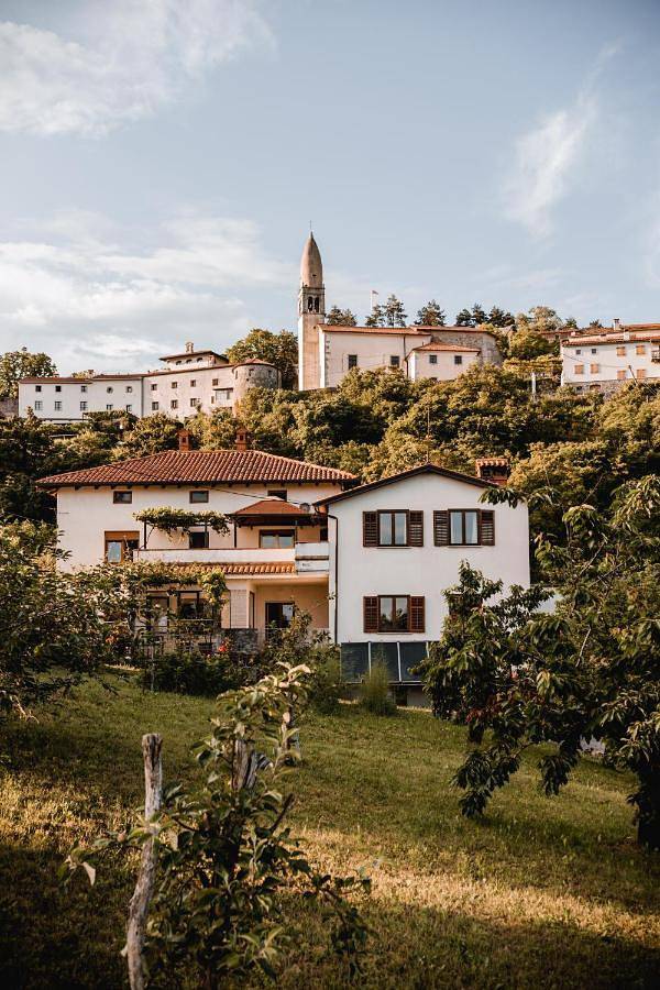 Gîte pour 4 personnes, avec vue et jardin dans Štanjel - 4