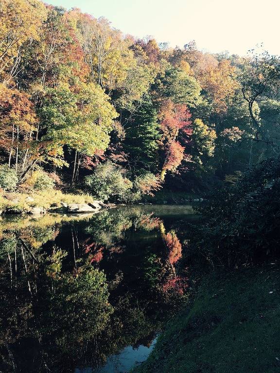 Neues benutzerdefiniertes Blockhaus auf New River Ridge in Blue Ridge Parkway, Ashe County
