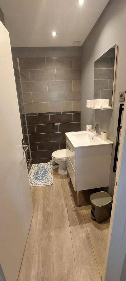 Appartement entier, One-Bedroom Apartment in Saint-Chamond, Parc Naturel Régional du Pilat