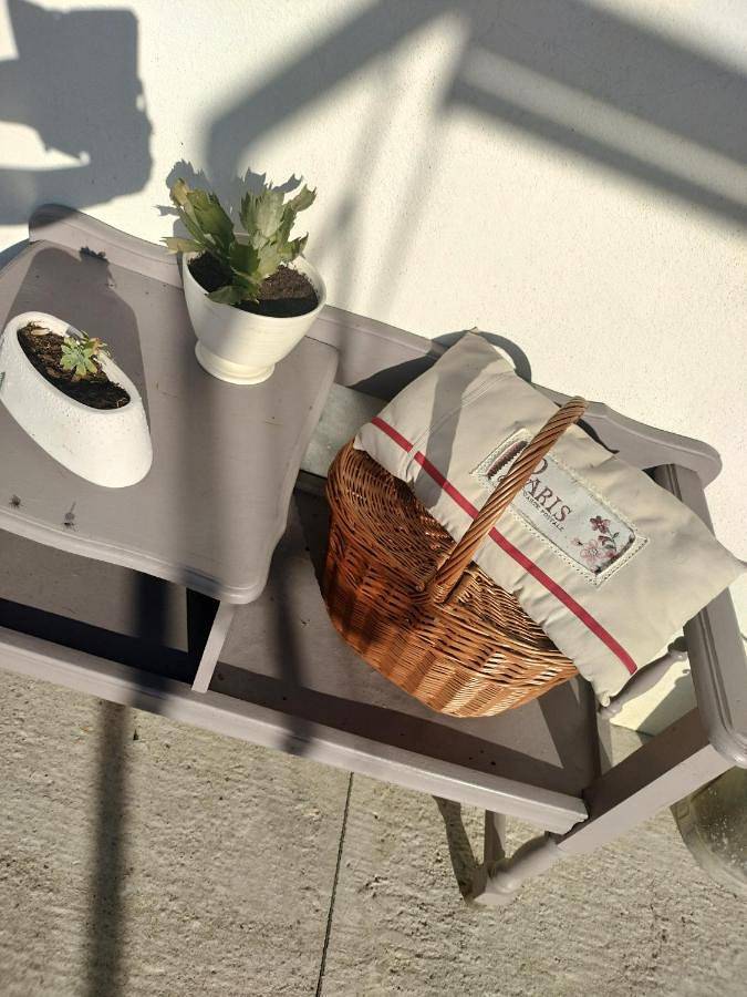 Location de vacances pour 2 personnes, avec jardin ainsi que vue et piscine à La Trimouille - 3