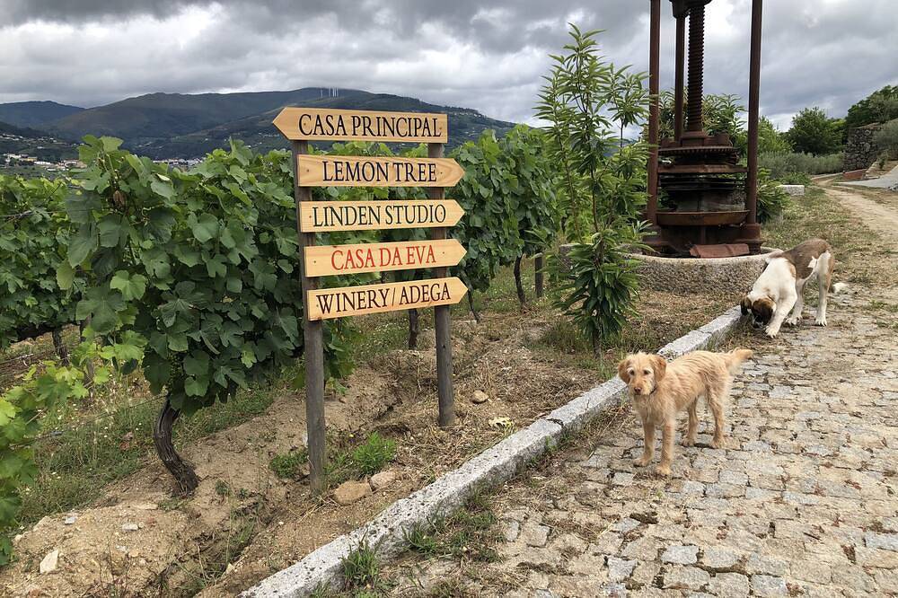 Ganze Wohnung, Linden Studio in Serra do Marão, Resende