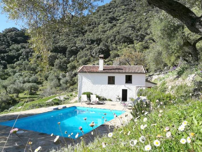 Casa rural para 10 personas, con vistas además de jardín y piscina en Grazalema - 3