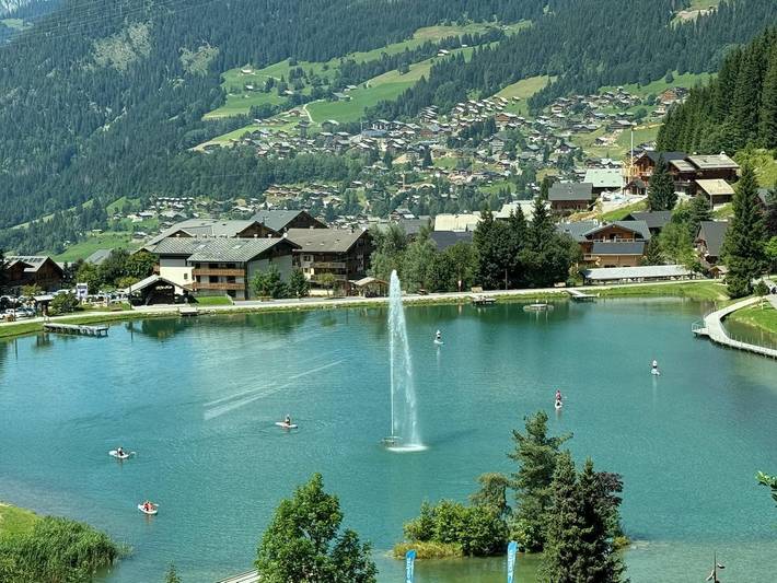 Chalet pour 17 personnes, avec jardin et sauna ainsi que vue sur le lac et terrasse, animaux acceptés à Chatel - 4