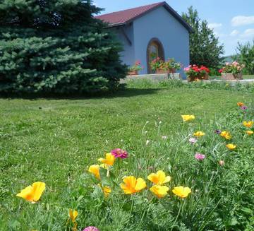 Gîte pour 24 personnes, avec terrasse et jardin en Alsace