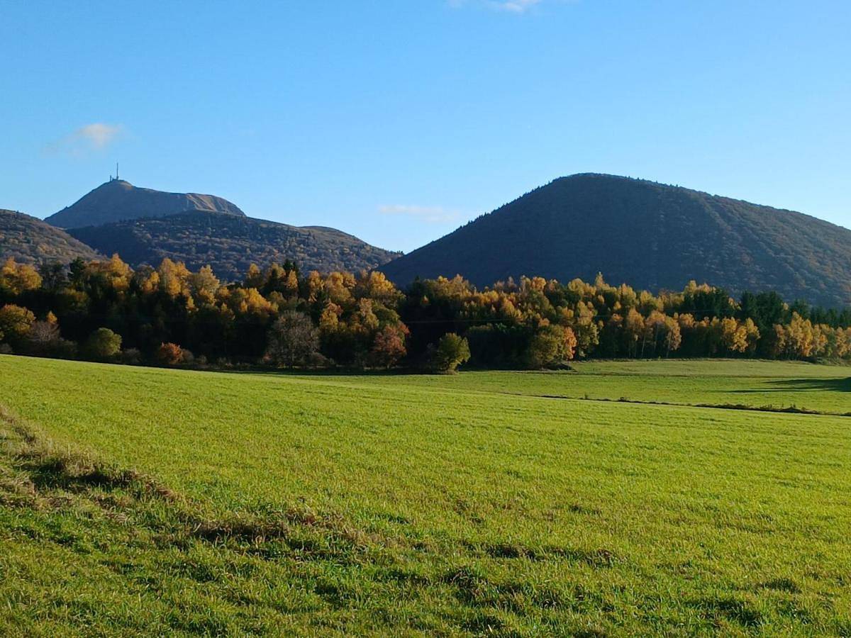 Le Coudi in Saint-Pierre-le-Chastel, Parc naturel régional des Volcans d'Auvergne